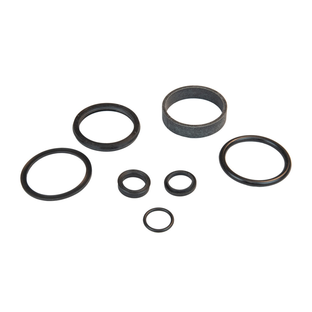 Seal Kit Main Side - Globe - 720016