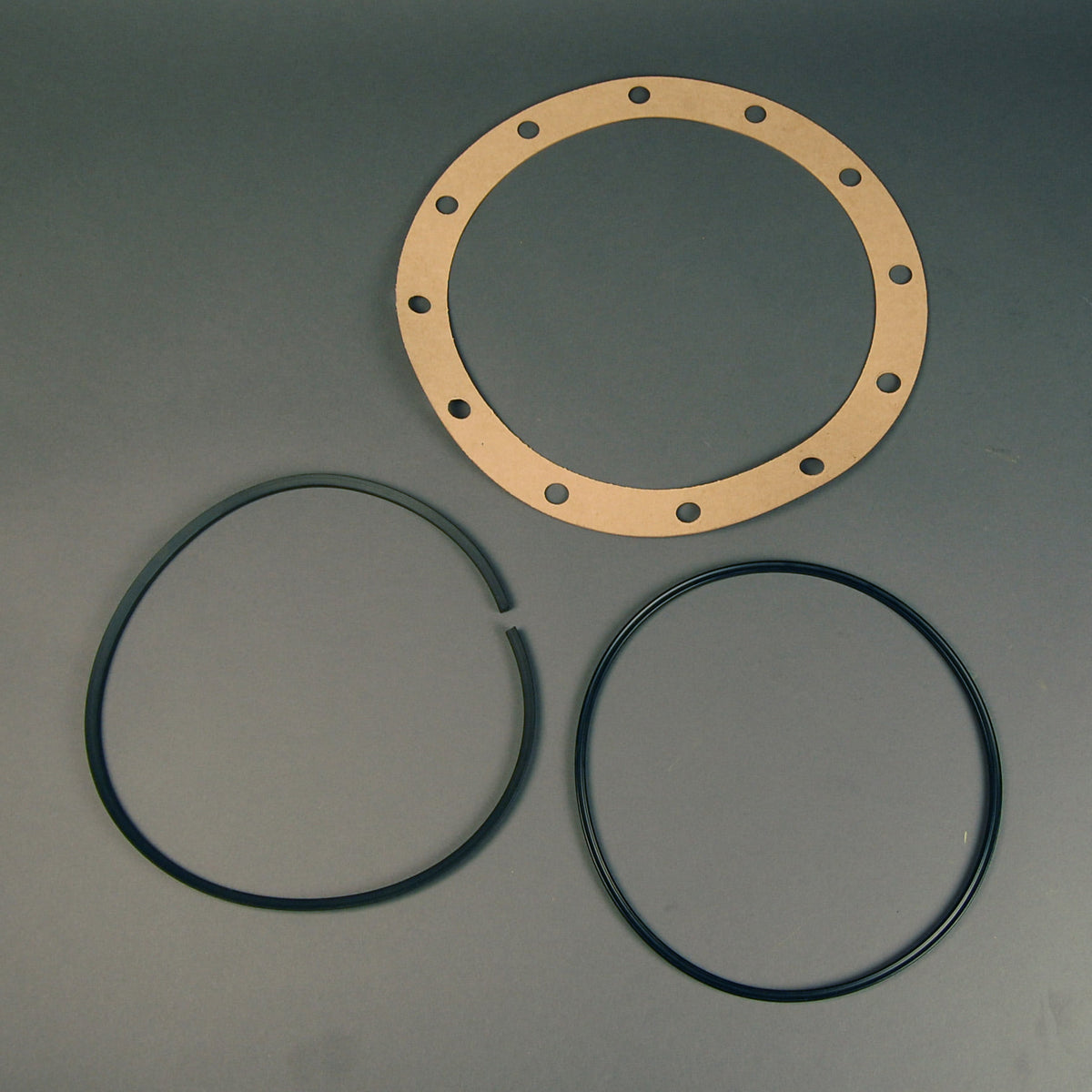 Wayne CL415846 10-1/2" Packing Kit