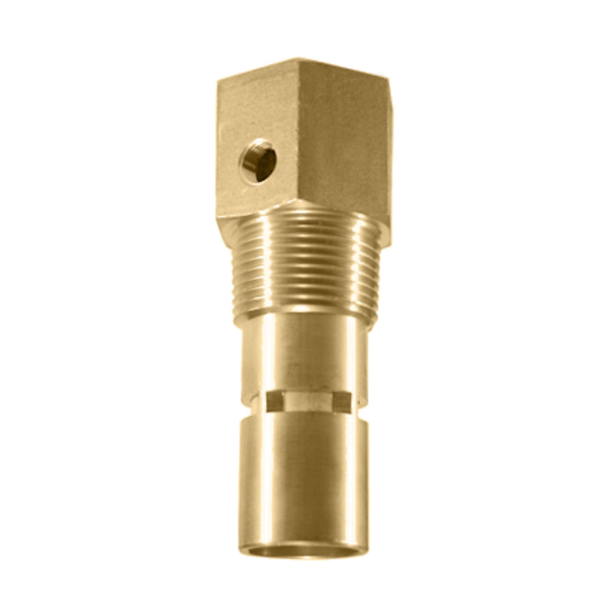 X 1.25 Vertical In Tank Ck Valve, (1) 1/8" Port - 1.25